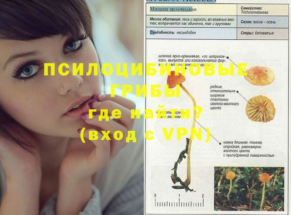 марки nbome Лабытнанги